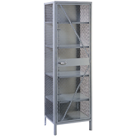 Wire Mesh Cabinet, Steel, 4 Shelves, 78" H x 24" W x 21" D, Grey FB015 | NTL Industrial