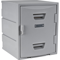 Locker, 15" x 15" x 18", Grey, Assembled FC689 | NTL Industrial