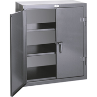 Armoires de rangement hauteur comptoir, Acier, 2 Tablettes, 36" h x 24" la x 20" P, Gris NTL Industrial