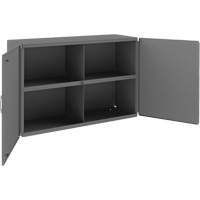 Wall-Mountable Cabinet, 24" H x 33-13/16" W x 12-3/8" D, 1 Shelves, Steel, Grey NTL Industrial