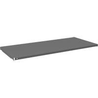 Cabinet Shelf, 47-3/4" x 21-3/8", 750 lbs. Capacity, Grey NTL Industrial
