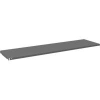 Cabinet Shelf, 59-3/4" x 16-3/8", 500 lbs. Capacity, Grey NTL Industrial