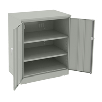 Armoire &agrave; hauteur de comptoir de luxe, Acier, 2 Tablettes, 42" h x 36" la x 24" P, Gris p&acirc;le NTL Industrial