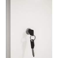 Cabinet Lock & Keys FL809 | NTL Industrial