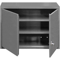 Armoire murale, 27" h x 29-7/8" la x 13-11/16" p, 2 tablettes, Acier, Gris NTL Industrial