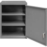 Armoire murale, 27" h x 13-11/16" la x 18" p, 2 tablettes, Acier, Gris NTL Industrial
