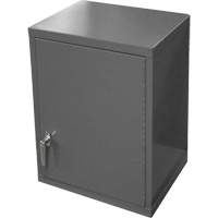 Armoire murale, 27" h x 13-11/16" la x 18" p, 2 tablettes, Acier, Gris NTL Industrial