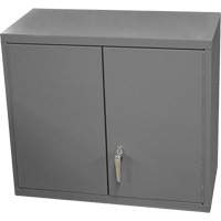 Armoire murale, 27" h x 13-11/16" la x 35-7/8" p, 2 tablettes, Acier, Gris NTL Industrial