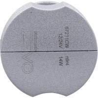 Ampoule pour feu avant H11, DEL, 13,2 W/17 W, Blanc NTL Industrial