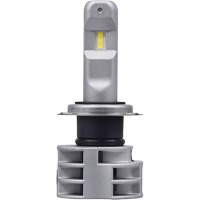 Ampoule pour feu avant H7, DEL, 13,2 W/17 W, Blanc NTL Industrial