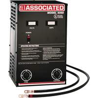 Powerful Performance Parallel Battery Charger NTL Industrial