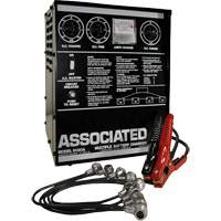 Multi-Battery Series Charger NTL Industrial