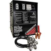 Multi-Battery Series Charger NTL Industrial