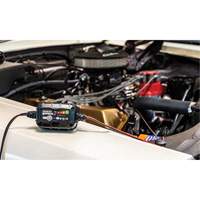 Genius&reg; 2 2-Amp Battery Charger NTL Industrial