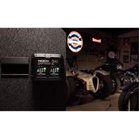 Genius&reg; 2X2 2-Bank, 4-Amp Battery Charger NTL Industrial