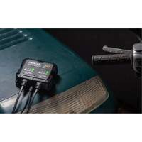 Genius&reg; 2X2 2-Bank, 4-Amp Battery Charger NTL Industrial