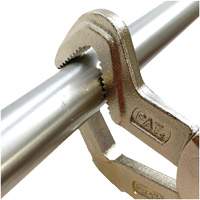 Sway Bar Parrot Pliers NTL Industrial