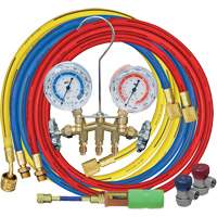Jeu de manom&egrave;tres collecteurs avec coupleurs manuels et mini-injecteur de colorant NTL Industrial