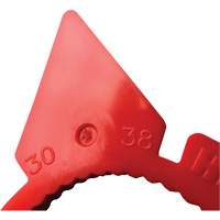 Indicateur d'&eacute;crous de tailles multiples desserr&eacute;s HexChex NTL Industrial