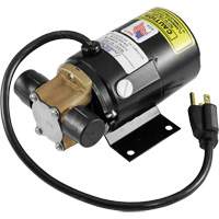 Low Profile Truck Drain with Electric Pump NTL Industrial