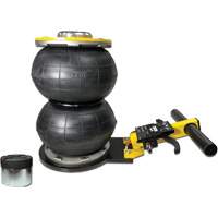 V&eacute;rin &agrave; coussin gonflable biphas&eacute; s&eacute;rie Pro, 2 tonne(s), 17" Hauteur &eacute;lev&eacute;e NTL Industrial
