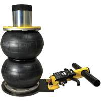 V&eacute;rin &agrave; coussin gonflable biphas&eacute; s&eacute;rie Pro, 2 tonne(s), 17" Hauteur &eacute;lev&eacute;e NTL Industrial