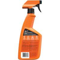 Multi-Purpose Auto Cleaner, 16 oz./473 ml, Trigger Bottle NTL Industrial