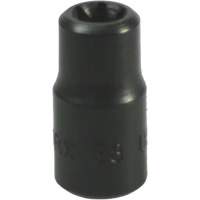 Douille Torx&reg; E-8 NTL Industrial