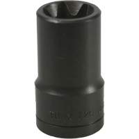 Douille Torx&reg; E-20 NTL Industrial