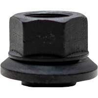 &eacute;crous &agrave; jupe enduits de graphite pour roues &agrave; moyeu-guide 100 mcx NTL Industrial