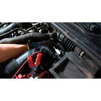 Pompette de purge de frein Brake-Pro &agrave; structure haute avec adaptateurs NTL Industrial