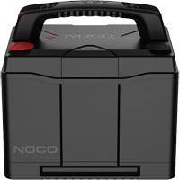 Group 24 90Ah Lithium Dual-Purpose Battery NTL Industrial