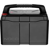 Group 31 120Ah Lithium-Ion LiFePO4 Dual-Purpose Battery NTL Industrial