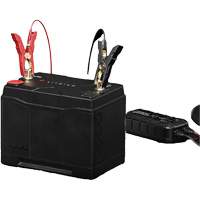 Group 31 120Ah Lithium-Ion LiFePO4 Dual-Purpose Battery NTL Industrial