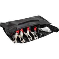 Wireless ChassisEAR Diagnostic Device Kit NTL Industrial