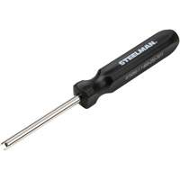 Extracteur de noyau de valve avec poign&eacute;e de type tournevis NTL Industrial