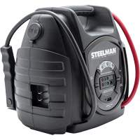Batterie de secours lithium-ion 600 A avec c&acirc;ble de sauvegarde de m&eacute;moire NTL Industrial