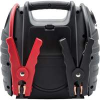 Batterie de secours lithium-ion 600 A avec c&acirc;ble de sauvegarde de m&eacute;moire NTL Industrial