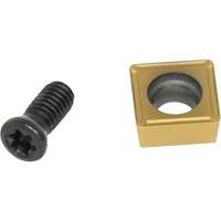 Embout en carbure et vis de remplacement pour grattoirs de poche NTL Industrial