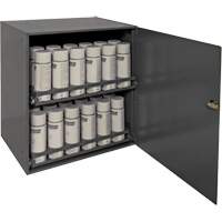 Armoire de rangement pour contenants a&eacute;rosol, Acier, 21-7/8" h x 15-15/16" la x 20-5/16" P, Gris NTL Industrial