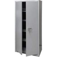 Storage Cabinet, Steel, 4 Shelves, 66" H x 30" W x 15" D, Grey FN425 | NTL Industrial