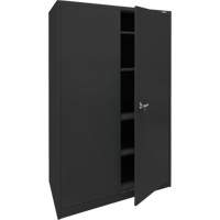 Storage Cabinet, Steel, 4 Shelves, 78" H x 48" W x 24" D, Black NTL Industrial