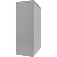 Armoire de rangement &agrave; hauteur de comptoir, Acier, 2 Tablettes, 42" h x 48" la x 24" P, Gris NTL Industrial
