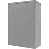 Armoire de rangement &agrave; hauteur de comptoir, Acier, 2 Tablettes, 42" h x 48" la x 24" P, Gris NTL Industrial