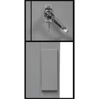 Armoire de rangement &agrave; hauteur de comptoir, Acier, 2 Tablettes, 42" h x 48" la x 24" P, Gris NTL Industrial