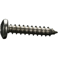 Tapping Screw GQ289 | NTL Industrial