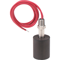 Modules and Switches