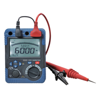 Insulation Resistance Tester with ISO Certificate, Digital NJW156 | NTL Industrial