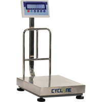 Balance &agrave; plateforme et d'&eacute;tabli Cyclone 150, Capacit&eacute; de 300 lb / 150 kg, 15-3/4" lo x 19-7/10" la NTL Industrial