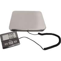 Digital Receiving Scale, 220 lbs. Cap., 1 lbs. Graduations NTL Industrial